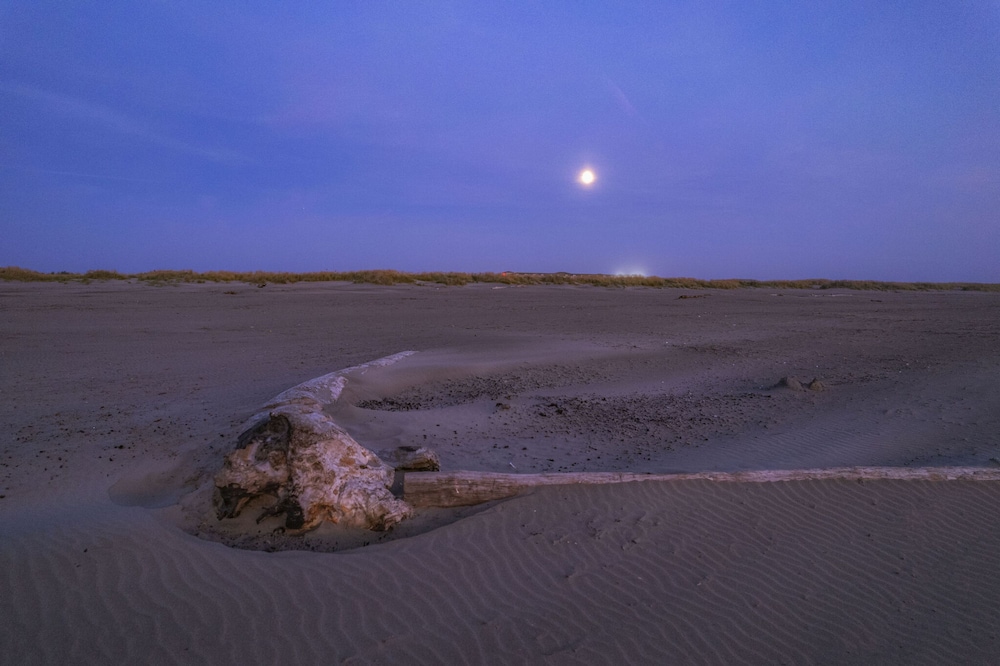 Waters Edge Condo in Ocean Shores