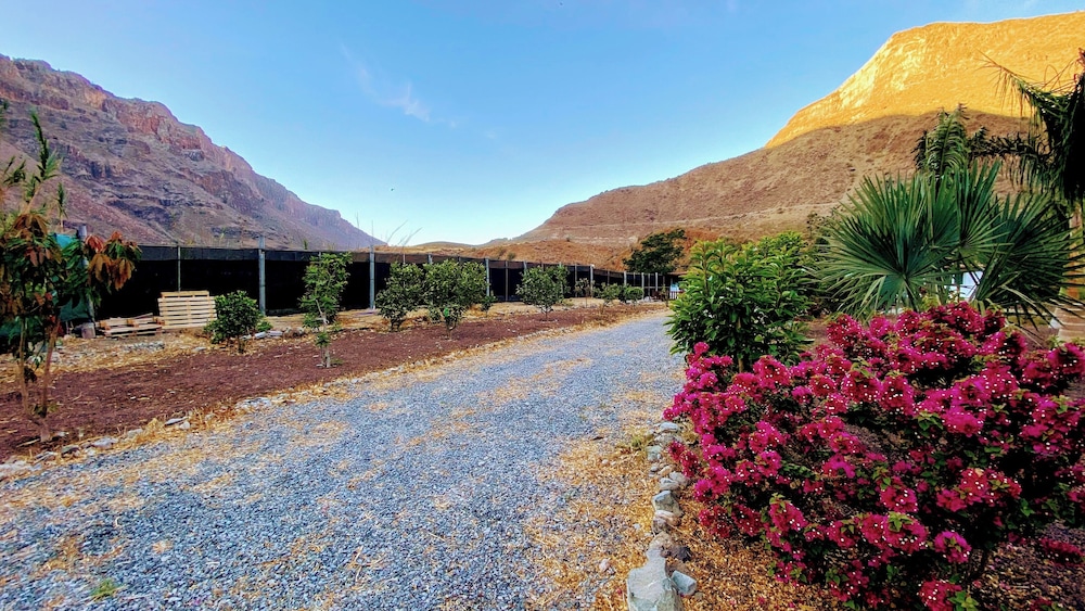 Renovated Tiny House in the Country Near Fataga