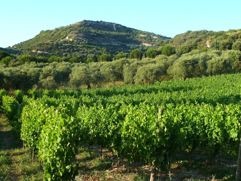 B&B Pessighette Dimora di Campagna