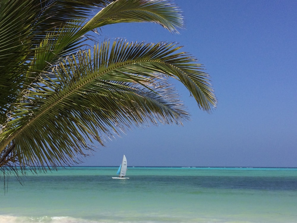 Kiwengwa Vacations - Neptune Pwani Beach Resort Spa Zanzibar - Property Image 90