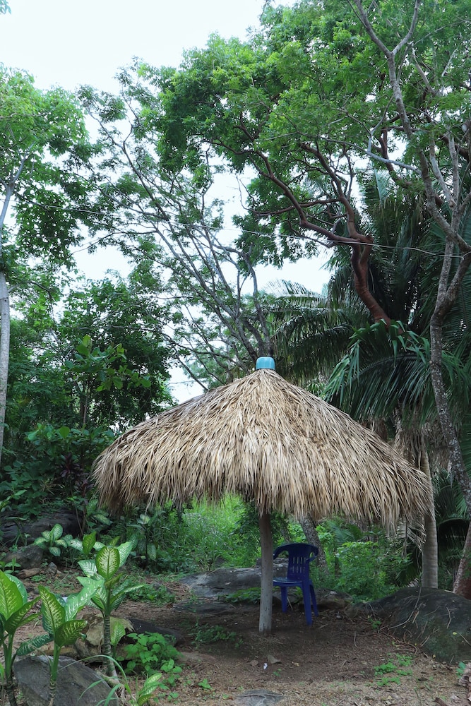 Photo 23