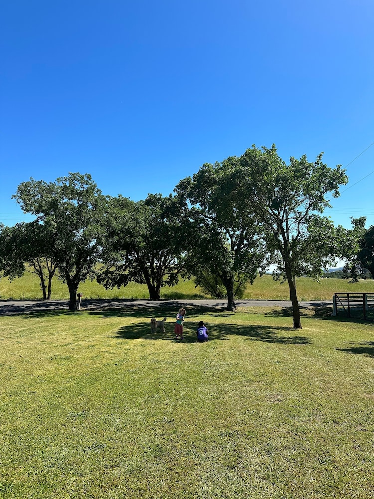 Charming Wine Country Farmhouse W/ Scenic Views 4 Bedroom Home by RedAwning - Property Image 38