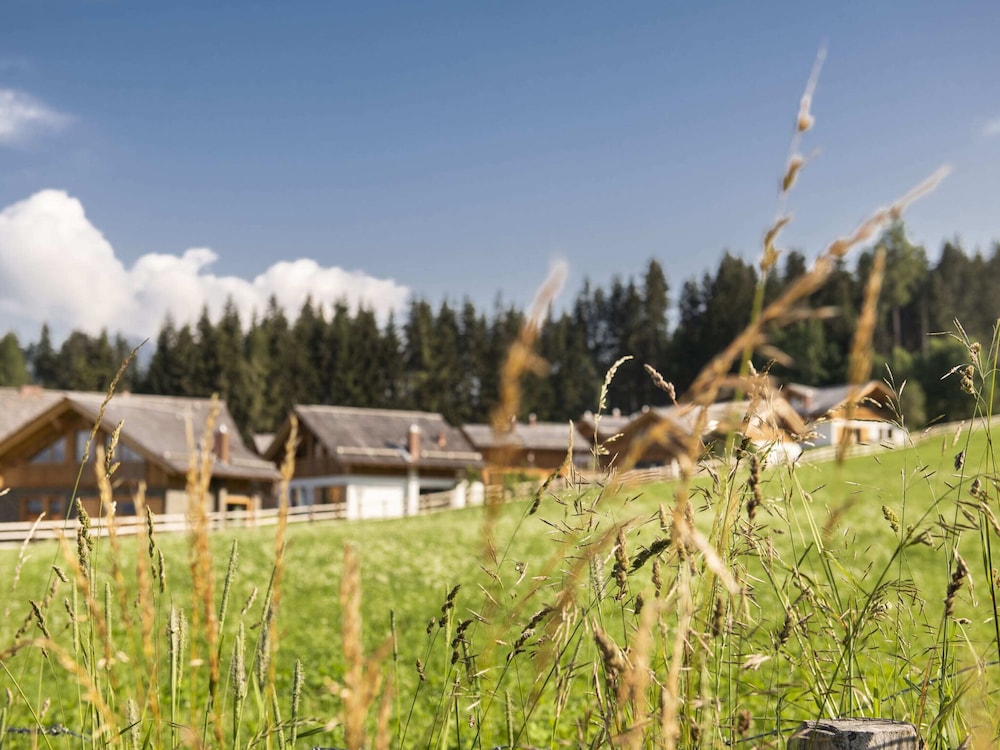 Chalet in Wolting With Natural Swimming Pond