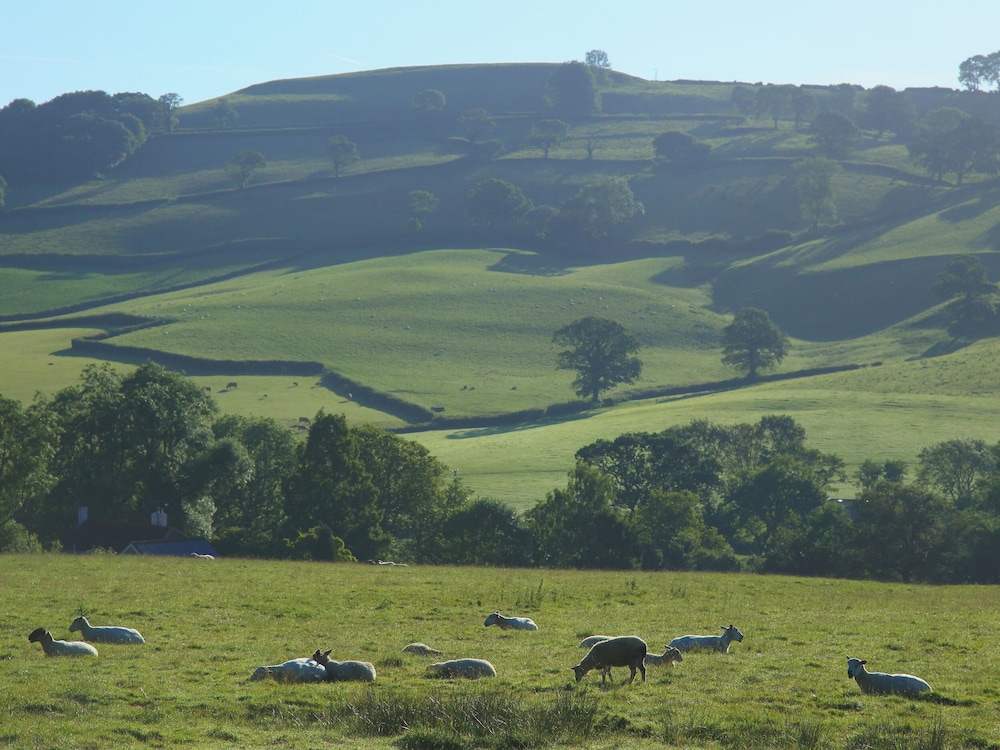 The Linhay