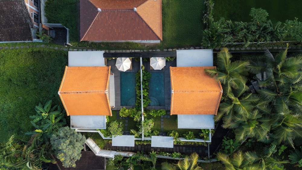 The Lok's Villa