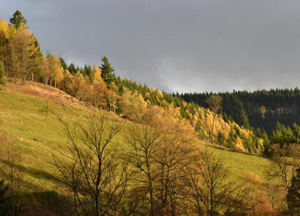 Charmantes Refugium, Harz