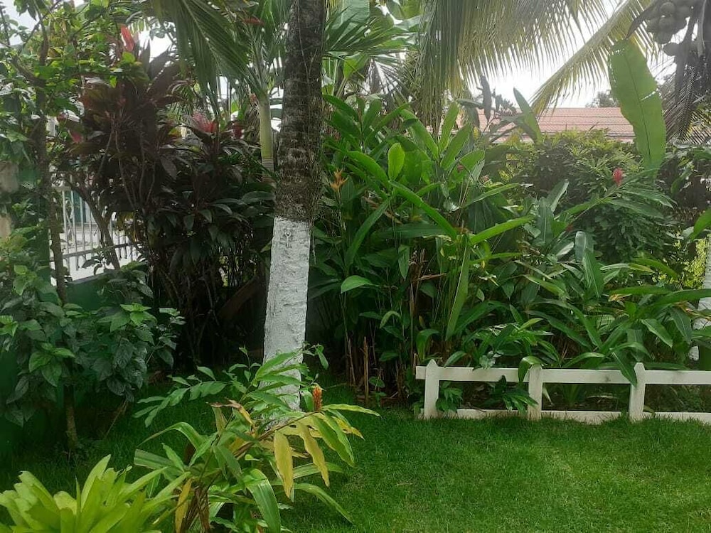 Vampayá Panamá view 2