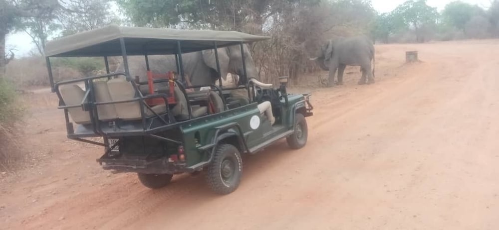 Royal South Luangwa Safaris Lodge