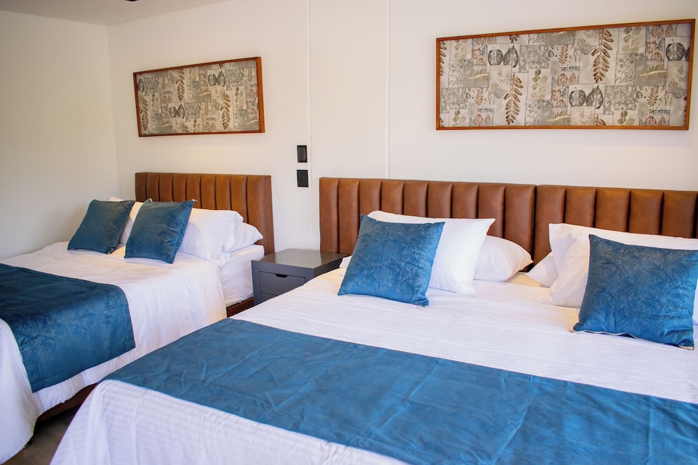 Monarch Campestre