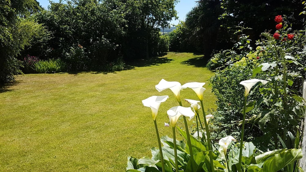 Photo 26