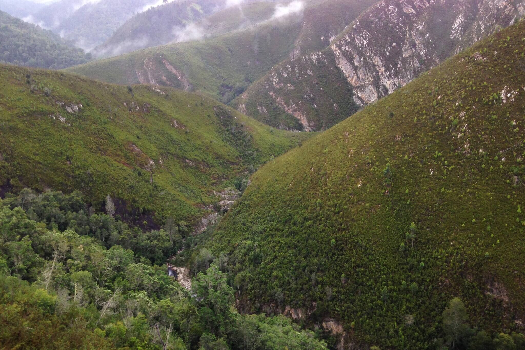 Photo 42