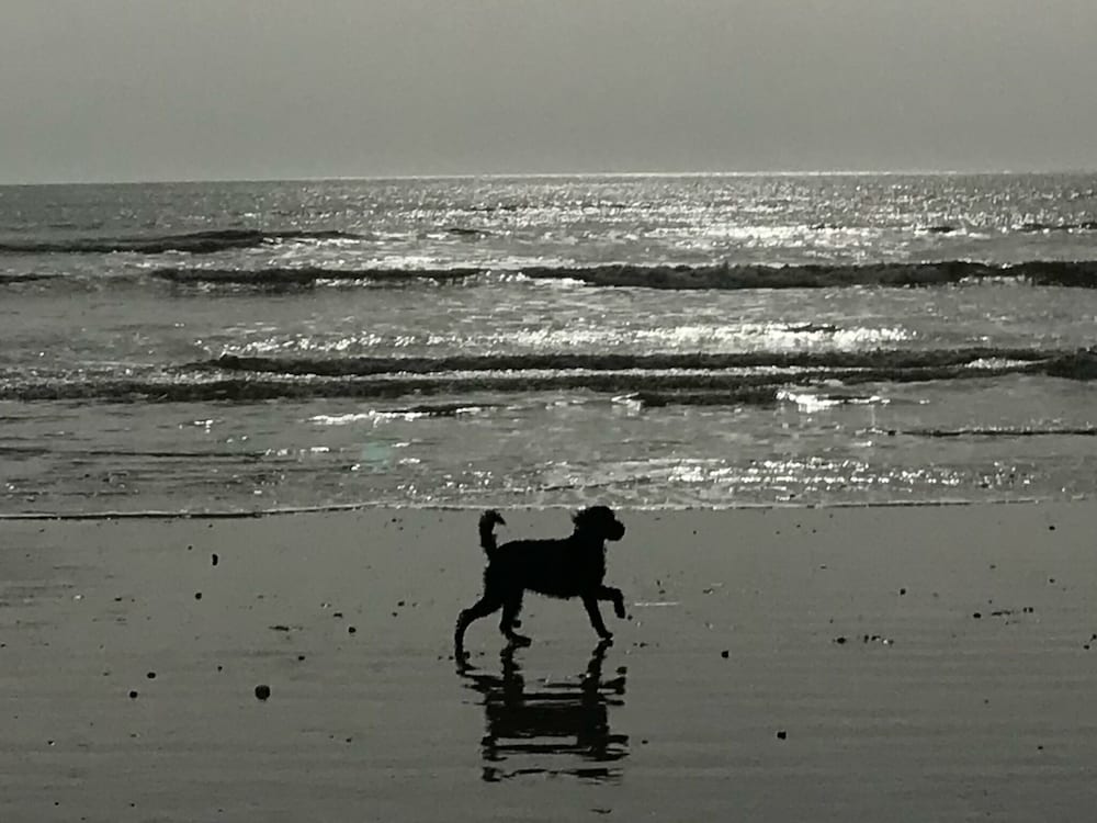 Photo 47
