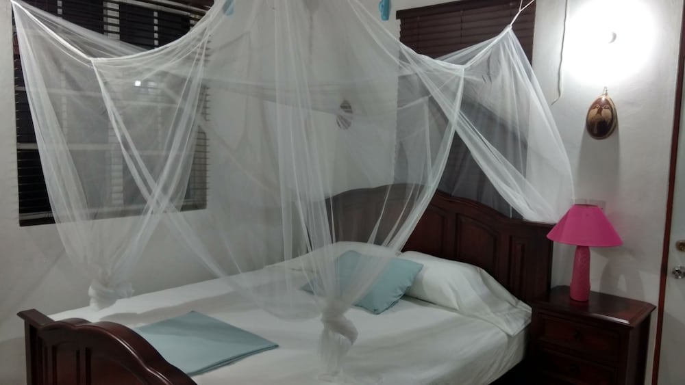 Mainroad Suite