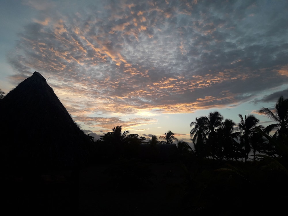 Photo 46
