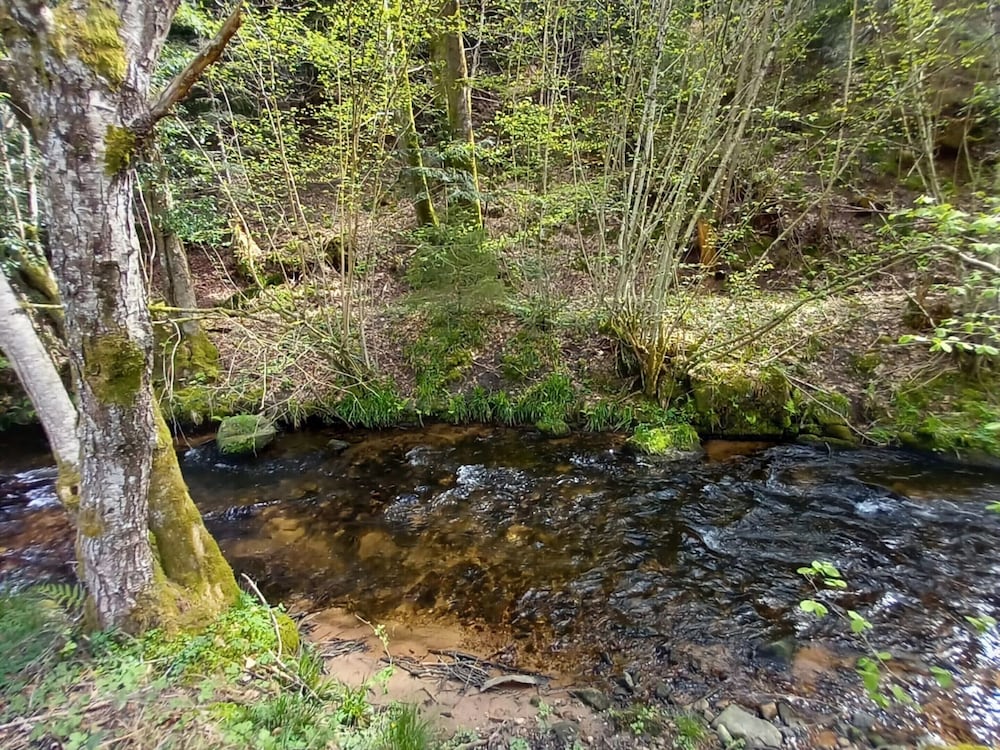 Photo 31