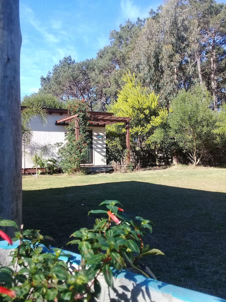 Photo 19