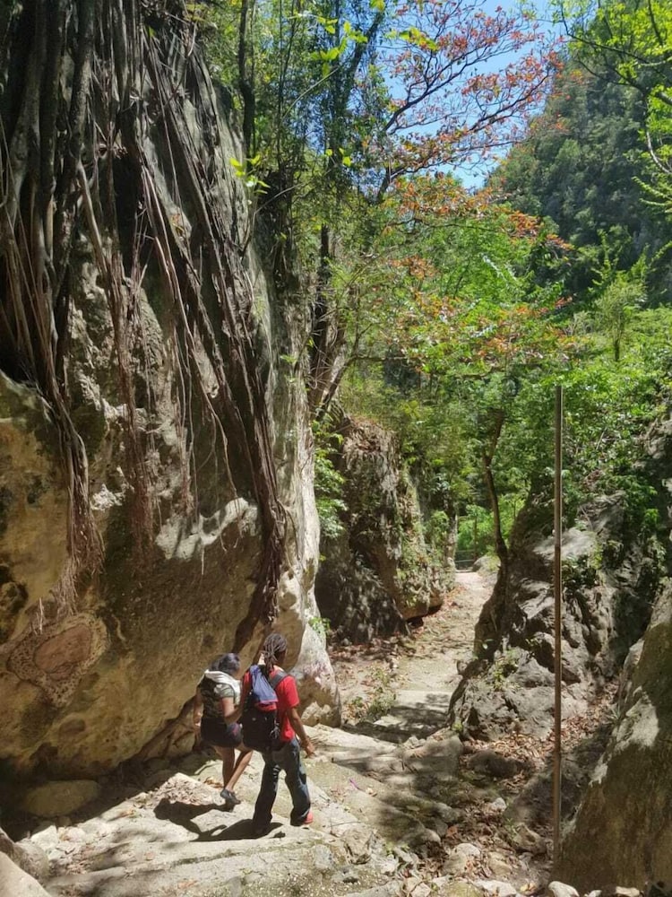 Yardie Guest House - Property Image 5