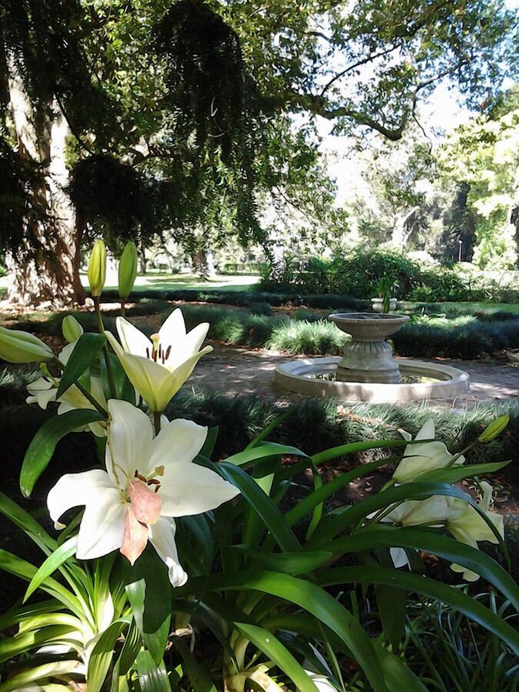Estancia Monte Viejo