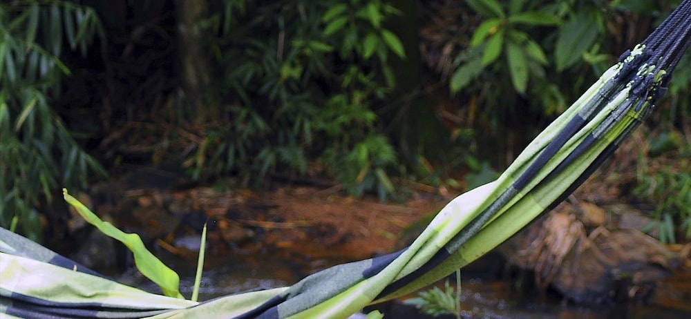 Águas da Mata