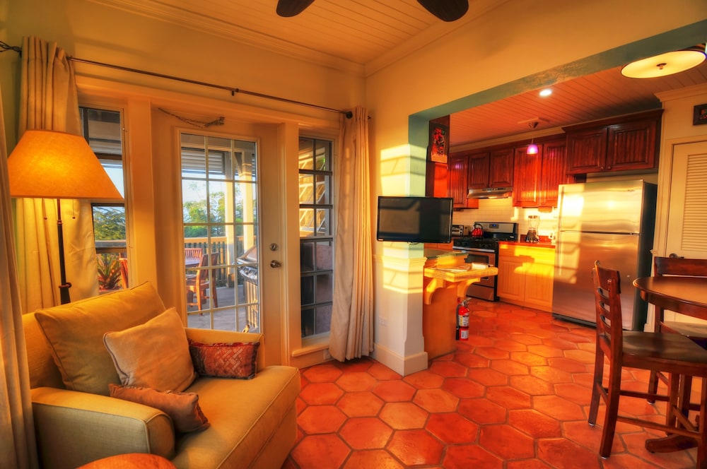 Villa Allamanda - Property Image 47