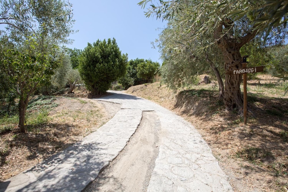 Photo 28