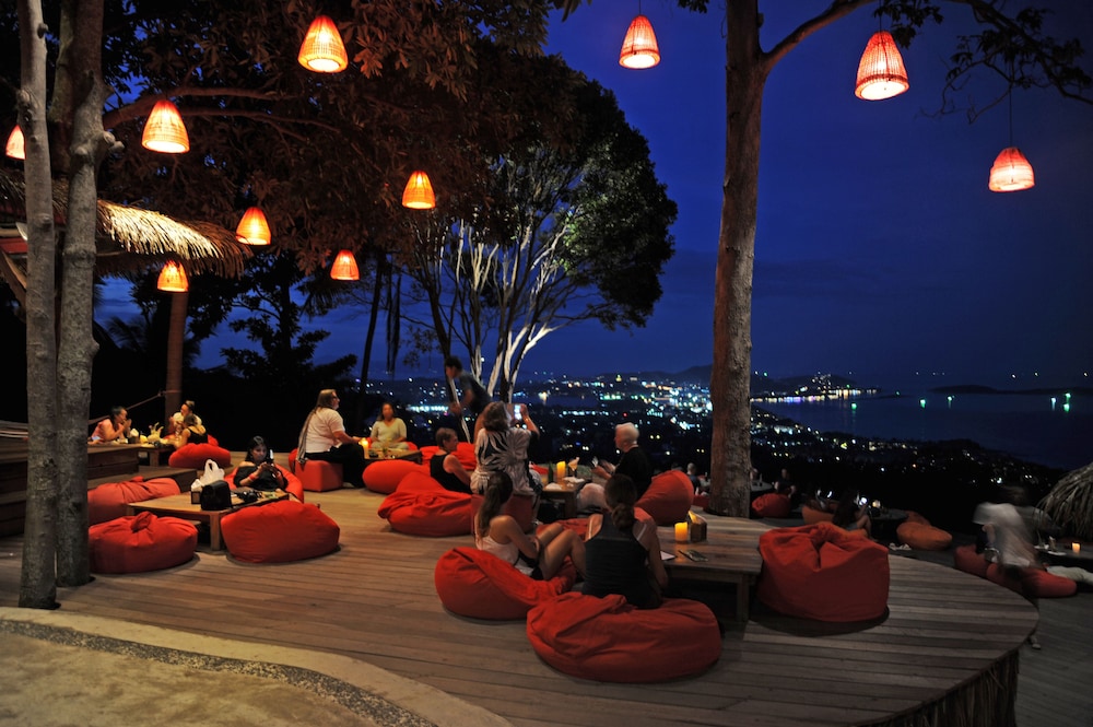 The Jungle Club