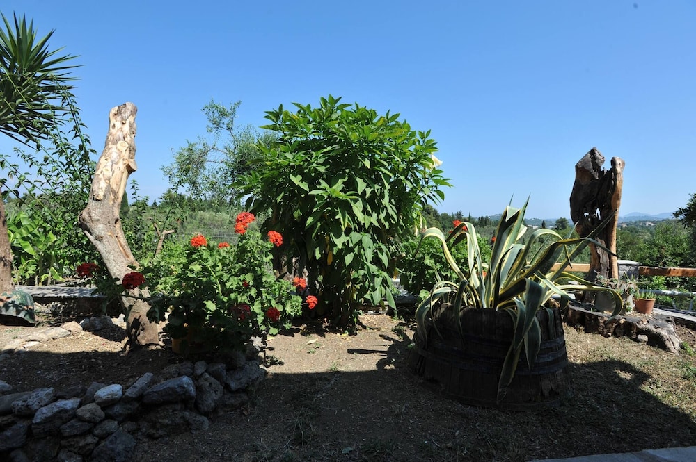 Photo 20