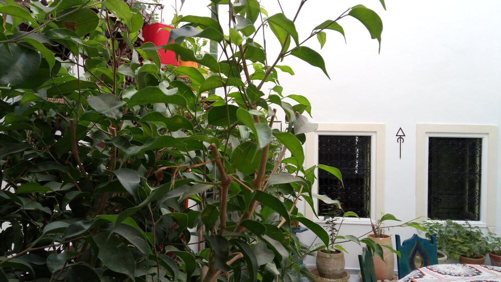 El Patio Courtyard House
