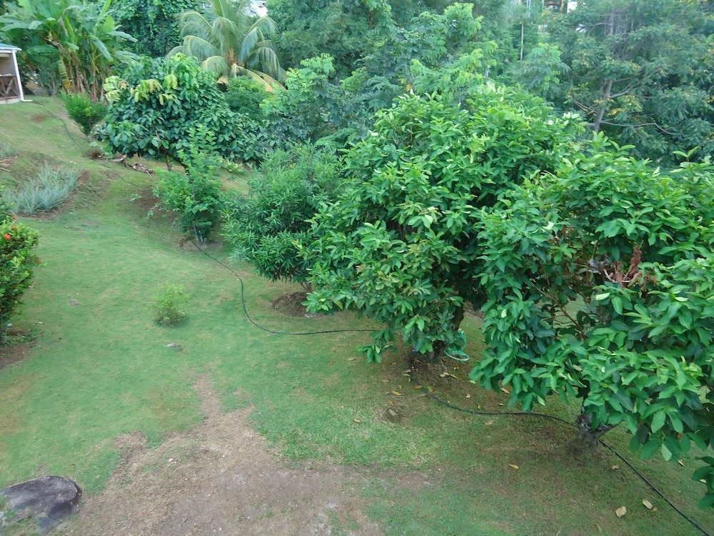 Lemongrass Lodge