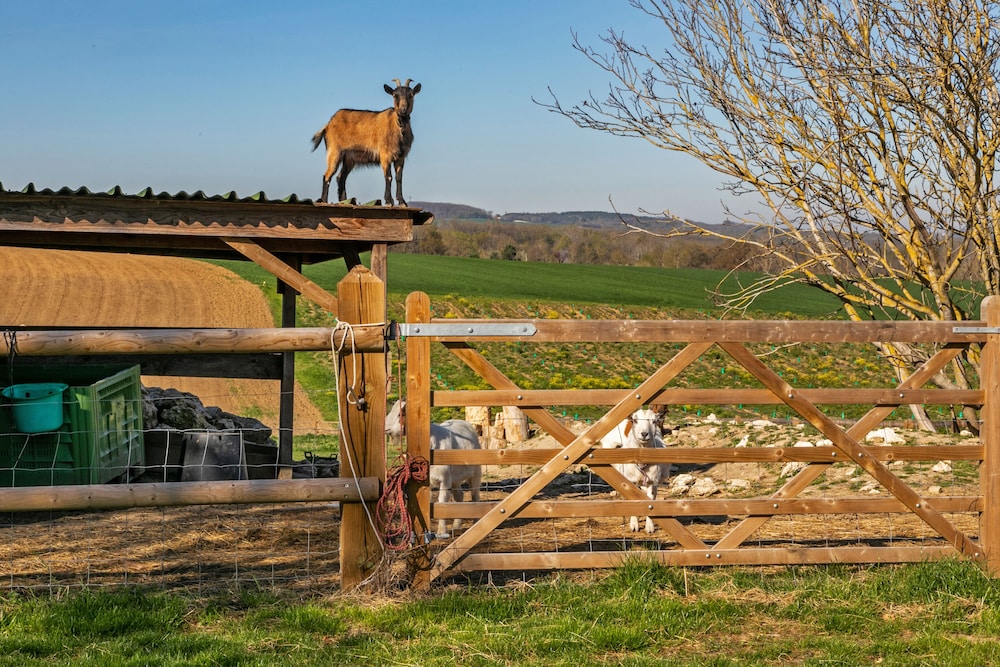 Domaine de Rambeau