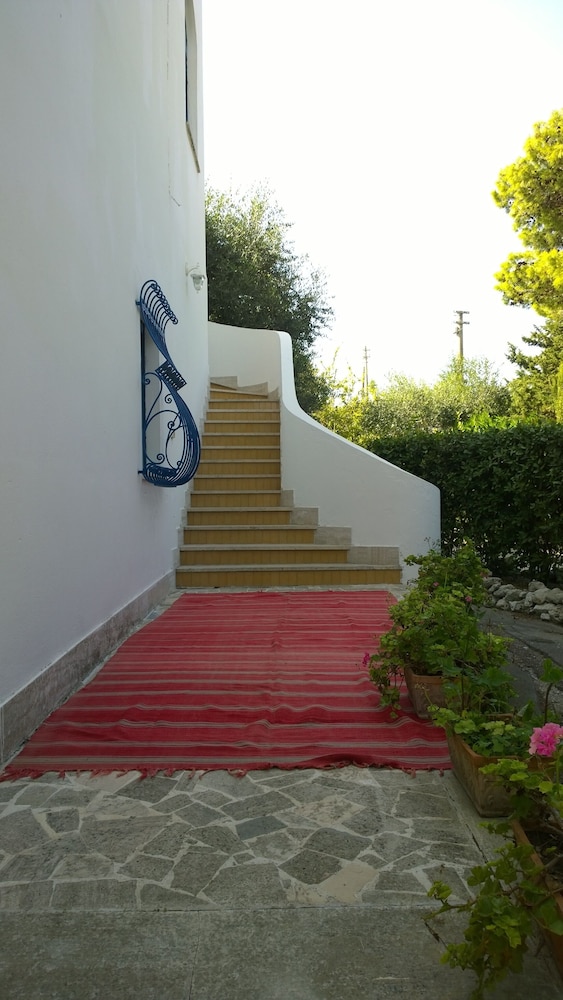 Tenuta Belvedere