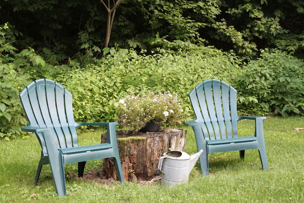 Wellnesste Lodge and Cabin Rentals