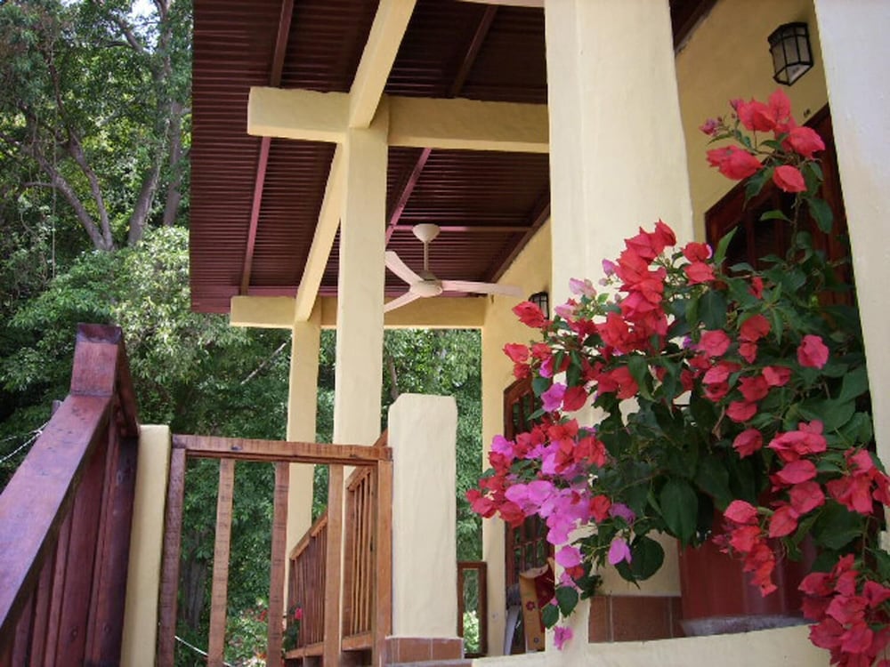 Cerrito Tropical