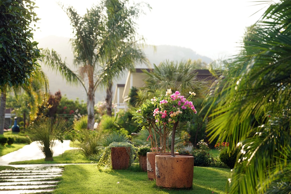 Cirali Hera Otel - Image 82