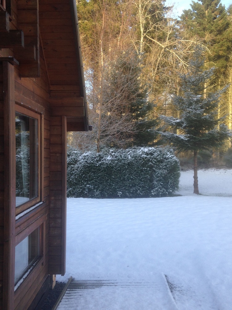 Photo 41