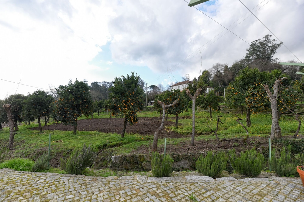 Photo 34