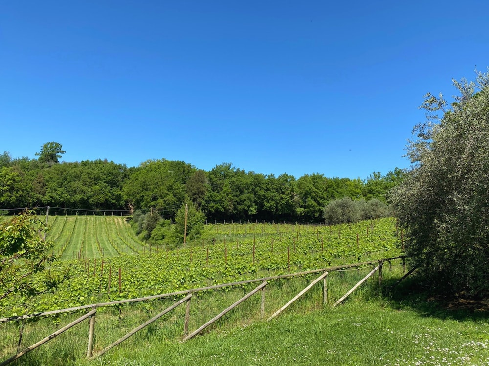Agriturismo Borgo 7 Tigli Apt 1