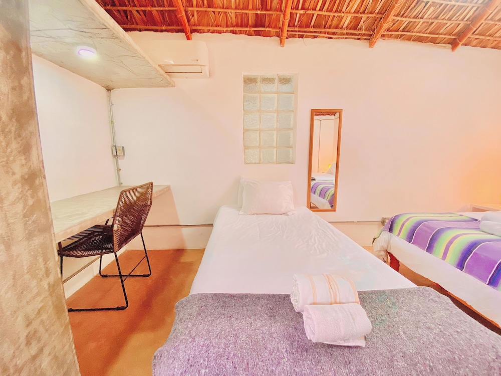 Perro Surfero Hotel Boutique - Todos Santos, BCS
