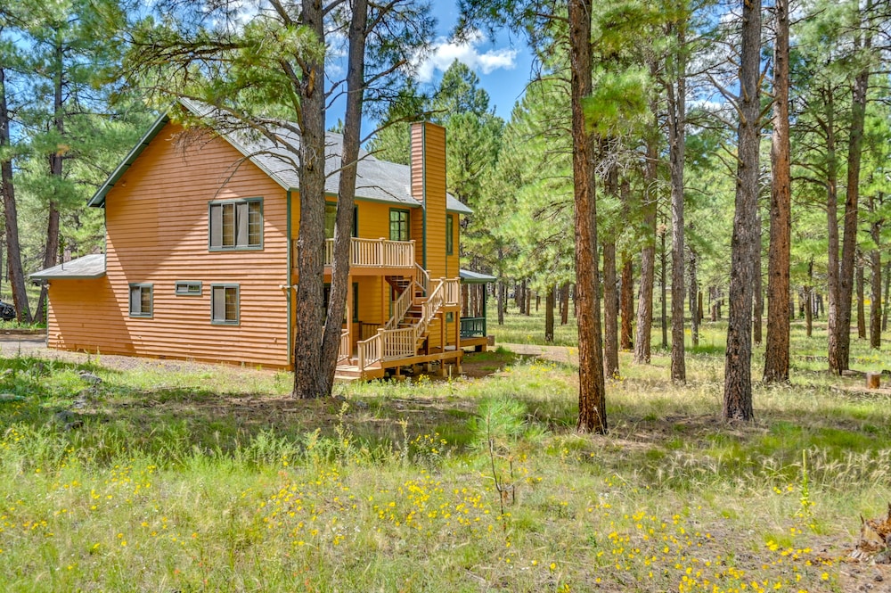 Hike & Fish: Parks Cabin w/ Balcony & Forest Views