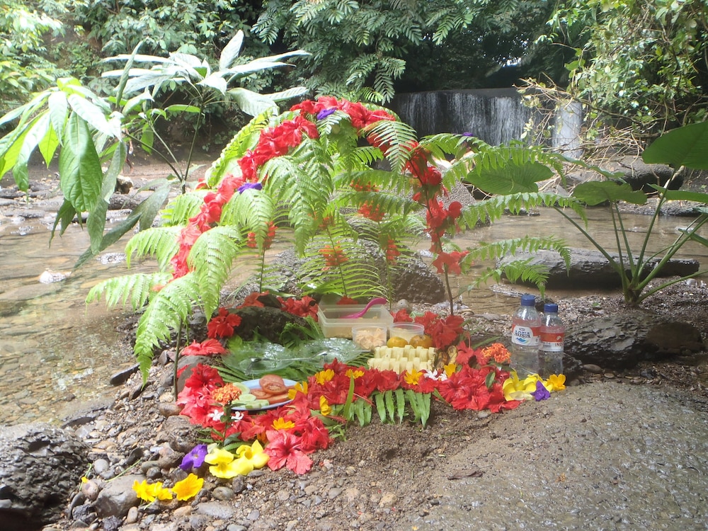 Photo 47