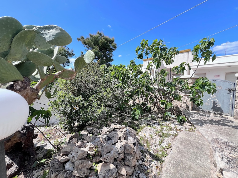 Trulli Malaspina Puglia Online