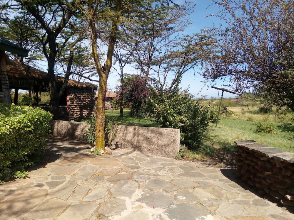 Photo 48