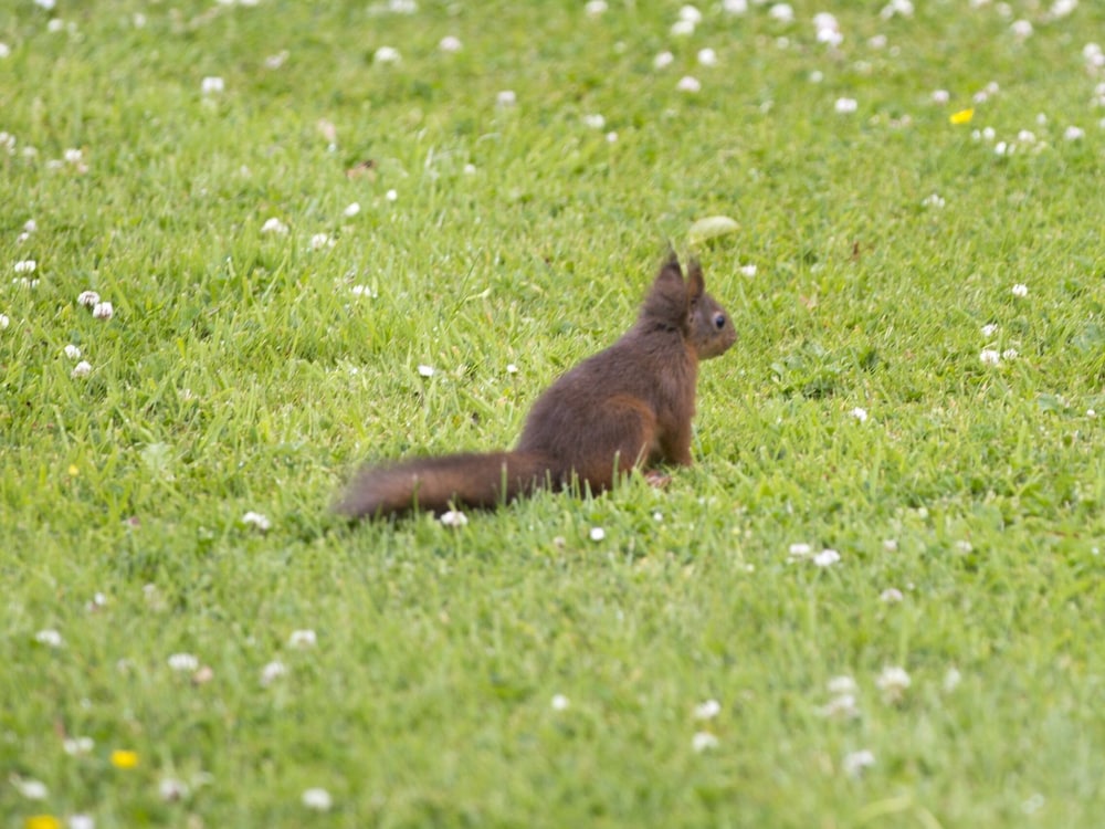 Photo 22