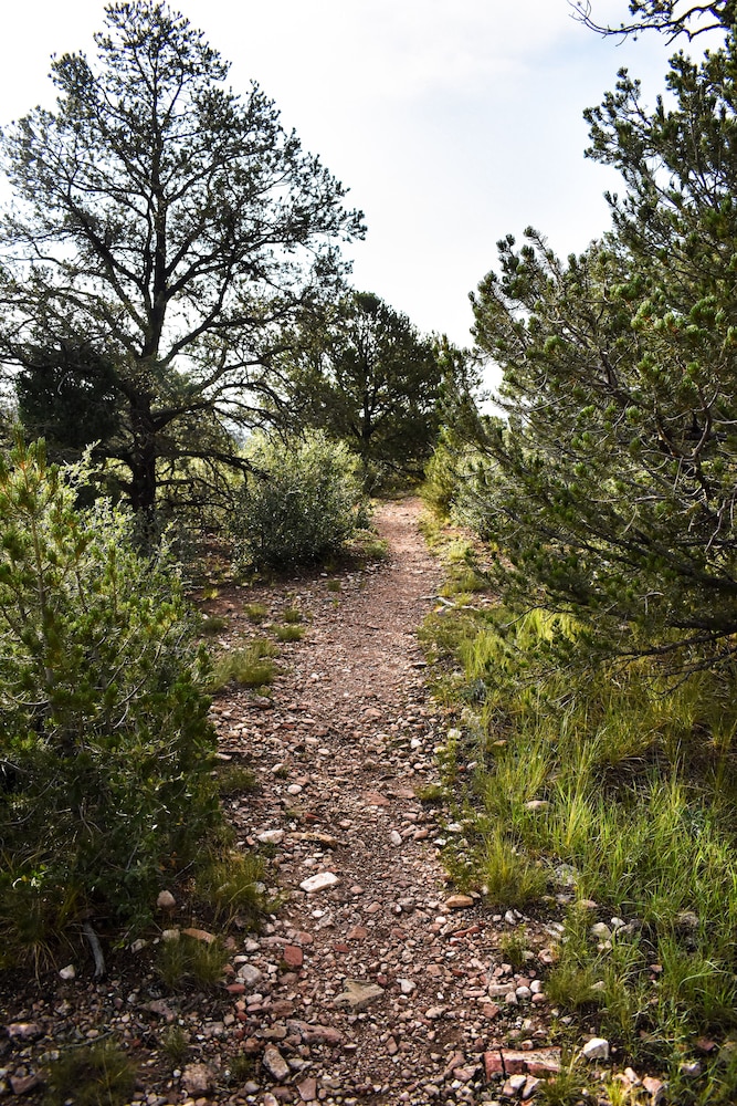 Photo 42