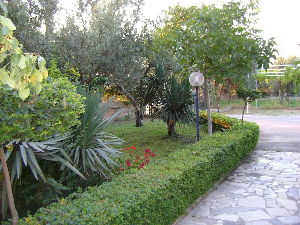 Photo 14