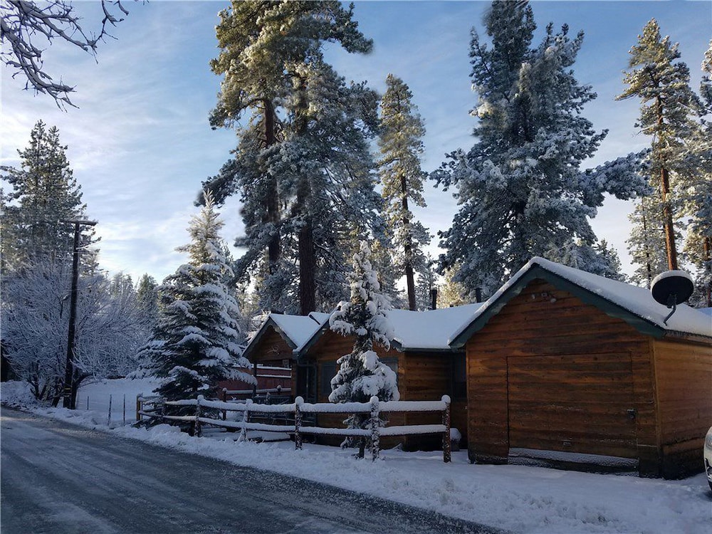 Pine Forest Cabin