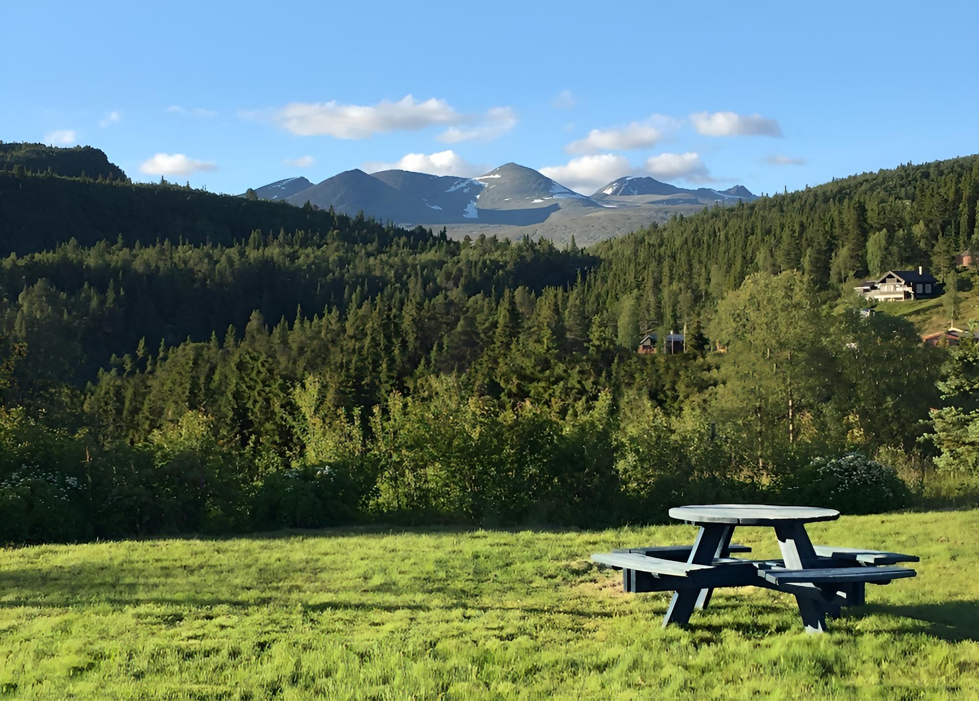 Rondane Hytter og Leiligheter