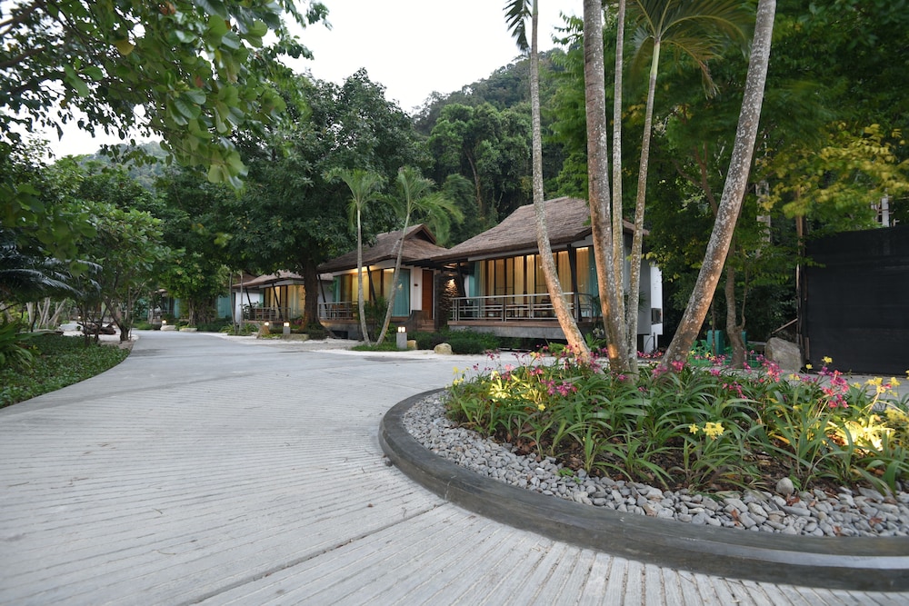 Photo 46