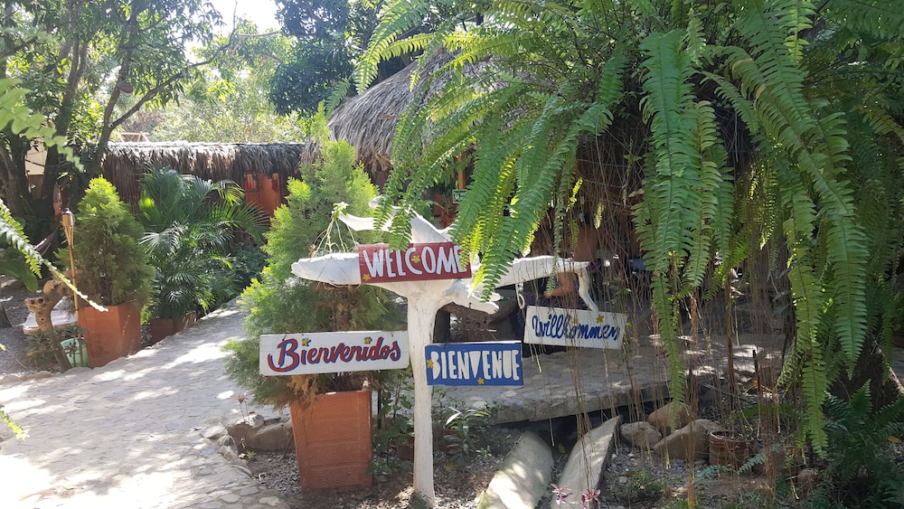 La Natura Hostel - Property Image 13