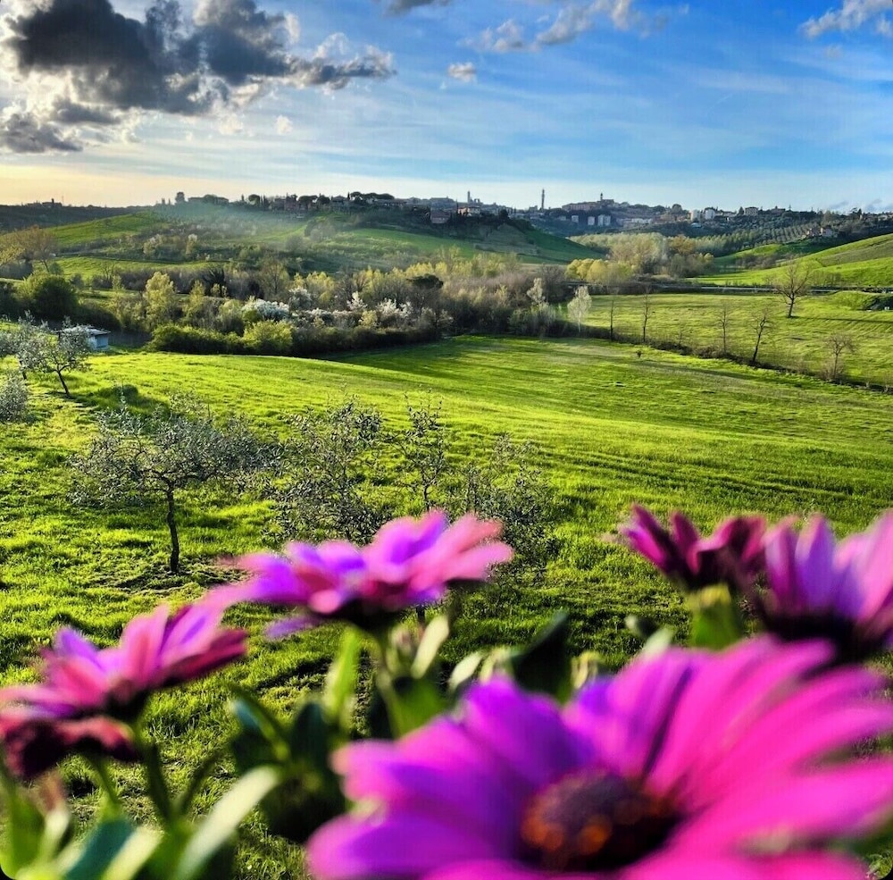Agriturismo La Corte del Sole